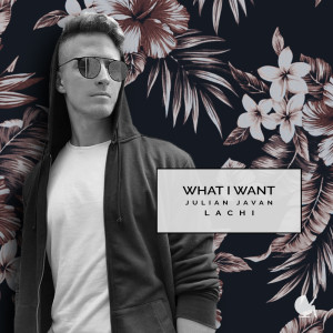 Listen to What I Want song with lyrics from Julian Javan