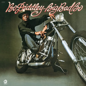 ดาวน์โหลดและฟังเพลง Bite You พร้อมเนื้อเพลงจาก Bo Diddley