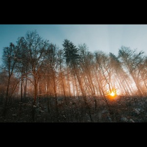 收聽Yoga Music的Peace of Music歌詞歌曲