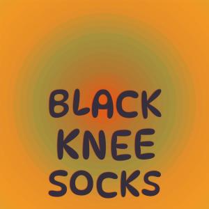 Listen to Black Knee Socks song with lyrics from Clyde Beaver