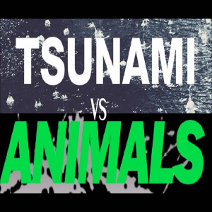 Dengarkan Tsunami Vs Animals lagu dari DJ Tormenta dengan lirik