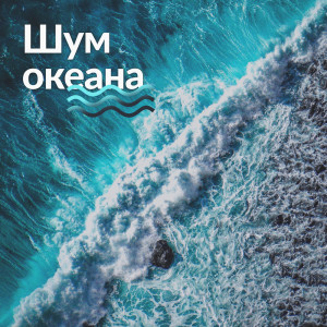 收聽Healing Ocean Waves Zone的Блаженство歌詞歌曲
