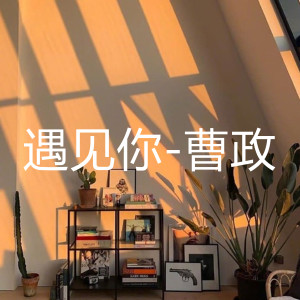 Listen to 遇见你 (伴奏) song with lyrics from 曹政