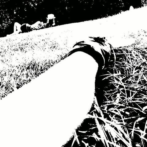 Sounds from the Marshes