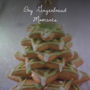 Listen to You Trimmed My Christmas Tree song with lyrics from Baby Jane and the Blenders