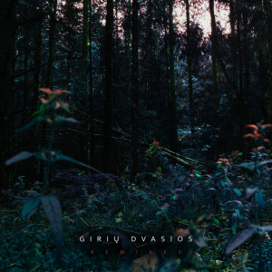 ดาวน์โหลดและฟังเพลง Taskas (Giriu Dvasios Remix) พร้อมเนื้อเพลงจาก Vejopatis