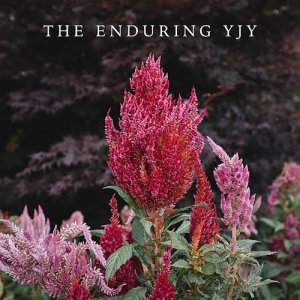 YJY的專輯The Enduring YJY