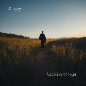 Album 当你孤单你会想起谁 from 