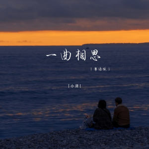 小賢的專輯一曲相思 (粵語版)