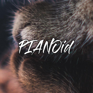 Album 그대가 미소지으면 (If you smile) from PIANOid