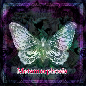 Iron Butterfly的專輯Metamorphosis