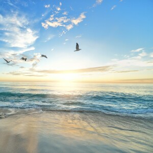 Listen to Beyond the Sea song with lyrics from T-Malu