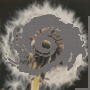 Album Improvisations from Various