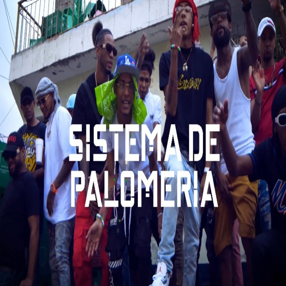 Sistema de Palomeria (Explicit)