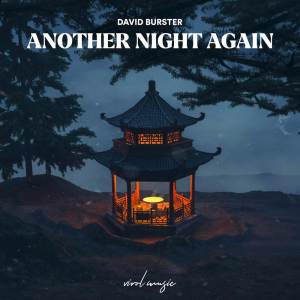 ดาวน์โหลดและฟังเพลง Another Night Again พร้อมเนื้อเพลงจาก David Burster