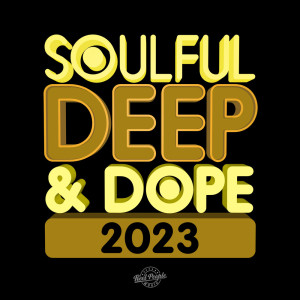 Various Artists的专辑Soulful Deep & Dope 2023