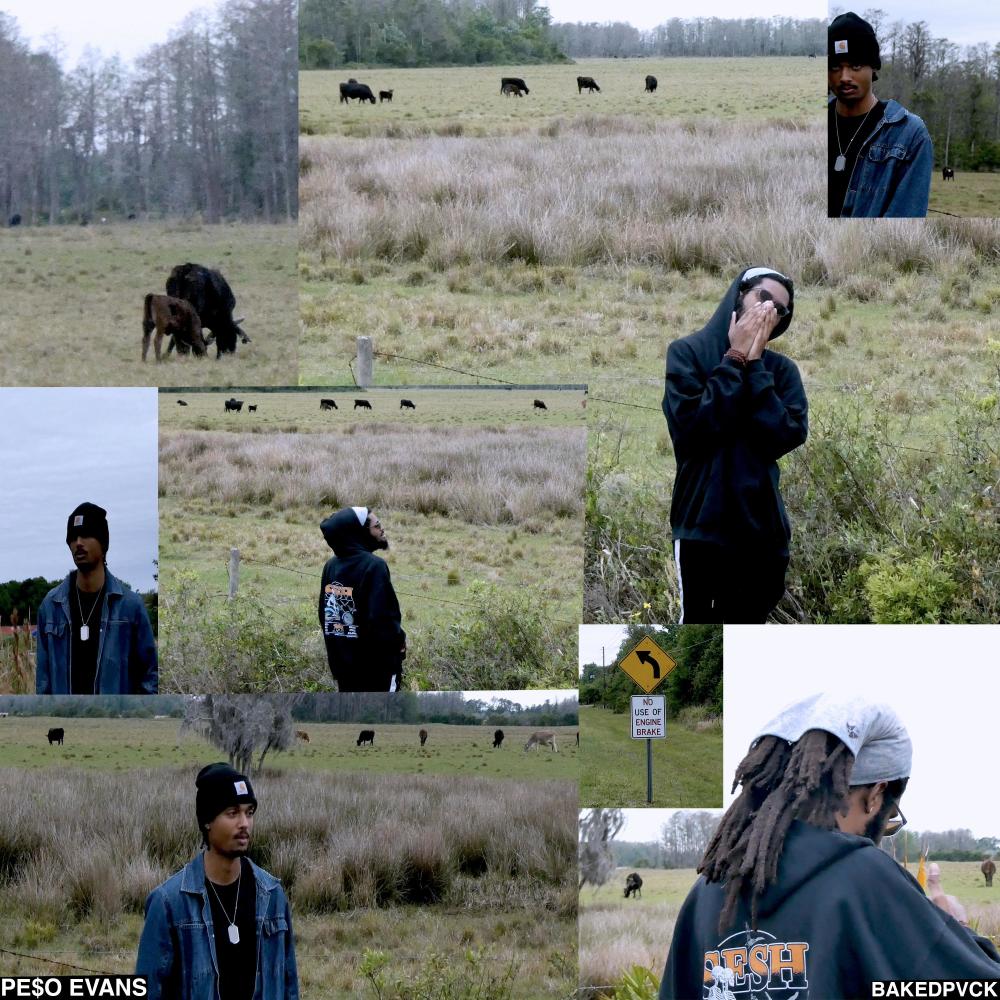 Sick! (Explicit)