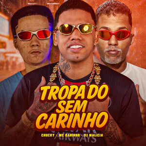 收聽MC Daninho的Tropa do Sem Carinho (Explicit)歌詞歌曲