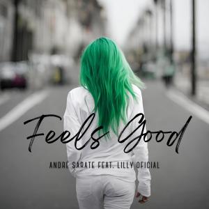 收聽Andre Sarate的Feels Good (feat. Lilly Oficial)歌詞歌曲