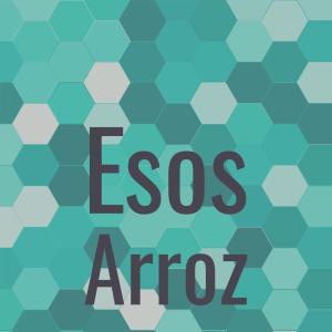 Album Esos Arroz oleh Various