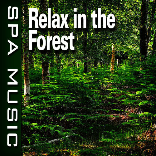 Restful Forest with Calming Piano Music