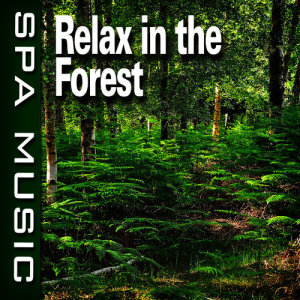 收聽SPA Music的Restful Forest with Calming Piano Music歌詞歌曲