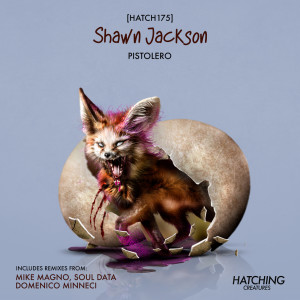 收听Shawn Jackson的Pistolero (Soul Data Remix)歌词歌曲