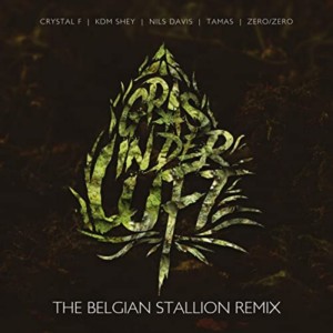 Dengarkan lagu Gras in der Luft (The Belgian Stallion Remix) (Explicit) (The Belgian Stallion Remix|Explicit) nyanyian Crystal F dengan lirik