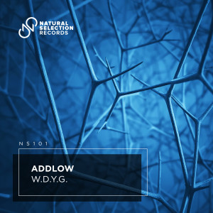 Dengarkan W.D.Y.G. lagu dari AddLow dengan lirik