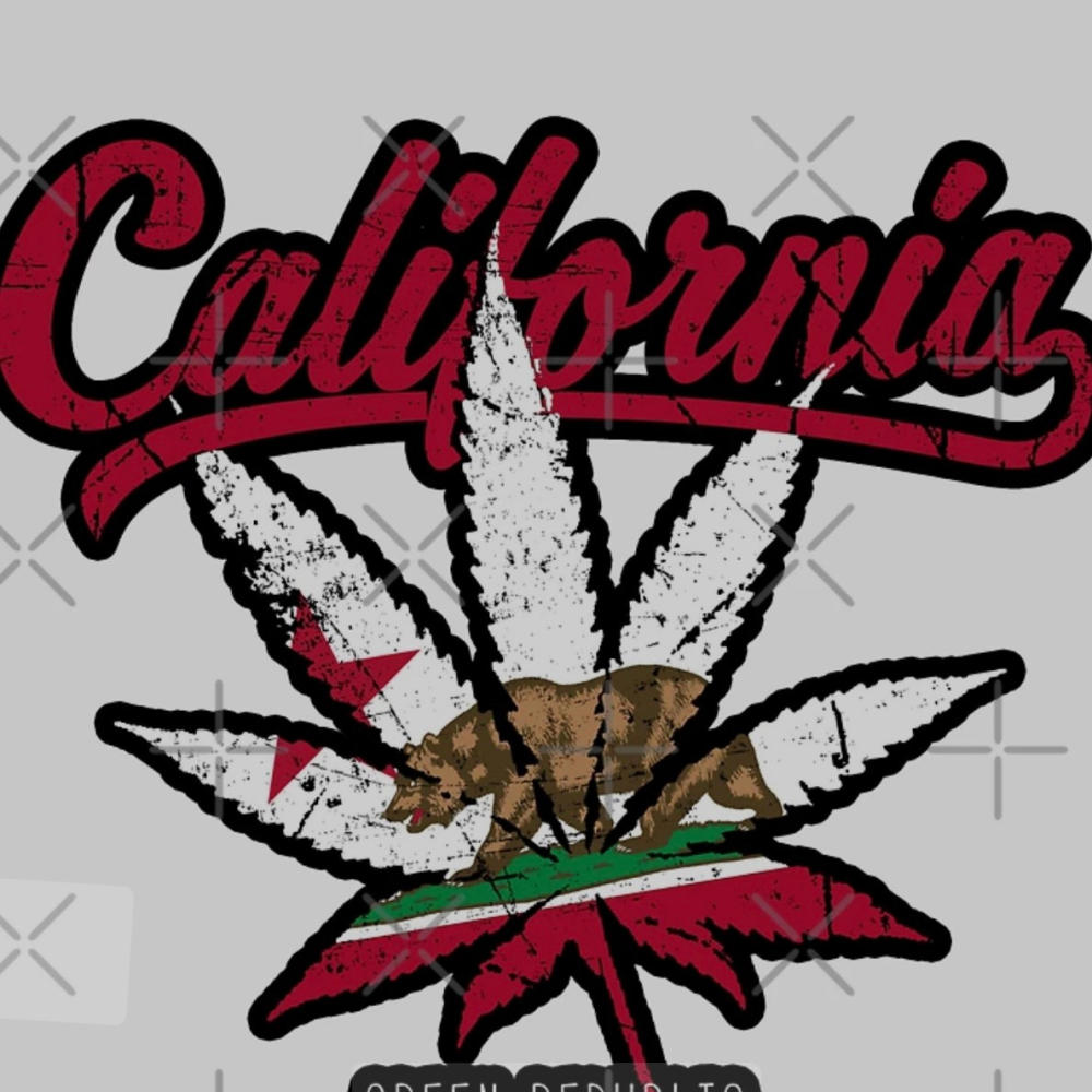 NORTHERN CALI DRO (feat. LIL MAINY & OFFICIAL BIZZNEZZ) (Explicit)