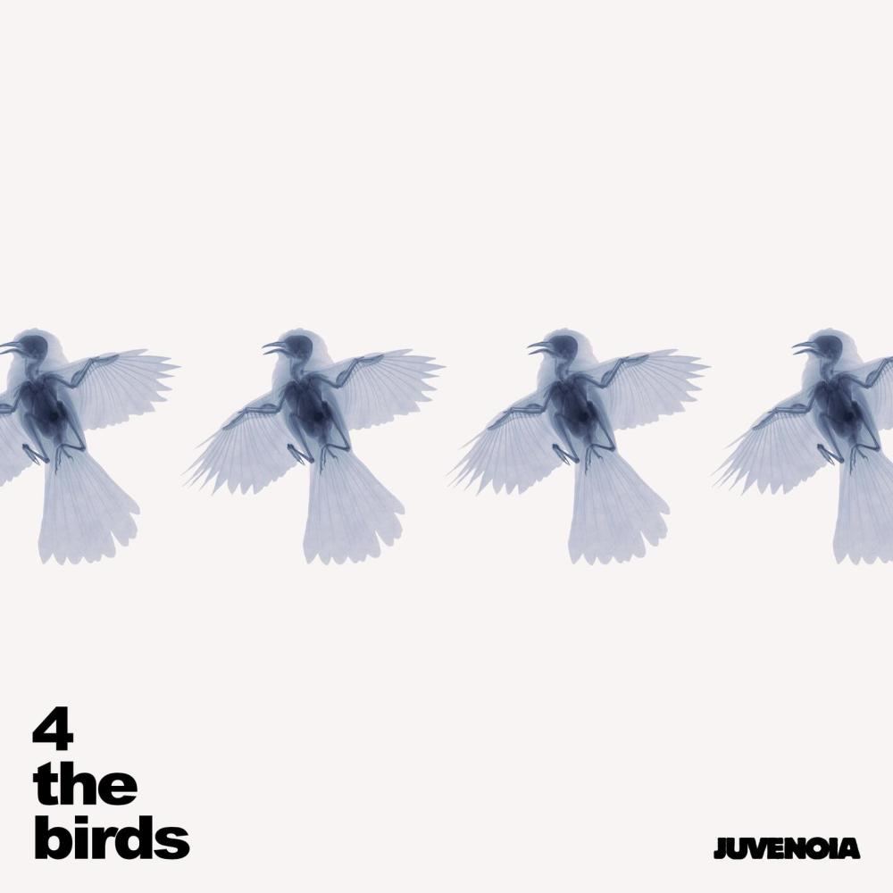 4TheBirds