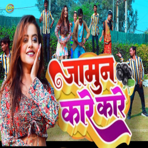 Listen to Jamun Kare Kare song with lyrics from Sunil Sajanwa