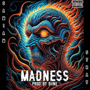 อัลบัม MADNESS (feat. Stray) [Explicit] ศิลปิน Stray