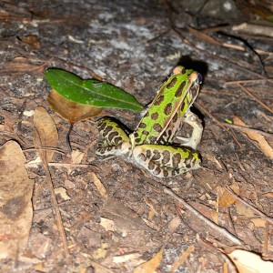 ดาวน์โหลดและฟังเพลง Sound slip พร้อมเนื้อเพลงจาก Mizu_Botoru