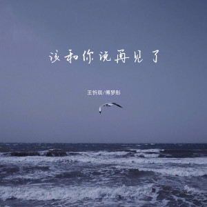 Album 该和你说再见了 from 王忻辰