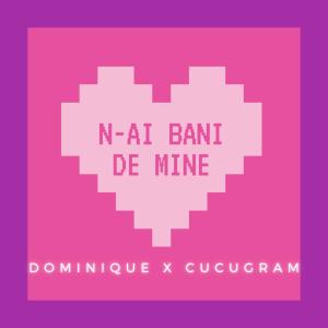 Album N-ai Bani De Mine from Parham & Dominique