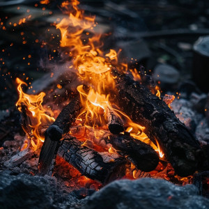 อัลบัม Soothing Chill Fire: Nighttime Relaxation ศิลปิน Relaxation Noisy Tones