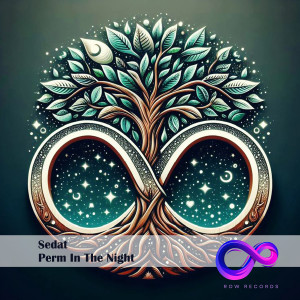 Listen to Perm in the Night song with lyrics from Sedat