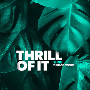 Listen to Thrill Of It (Instrumental Version) song with lyrics from Siine