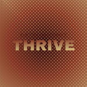 收听Mame Riny的Electroluminescence Thrive歌词歌曲