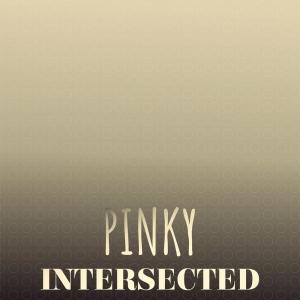 Album Pinky Intersected from Various