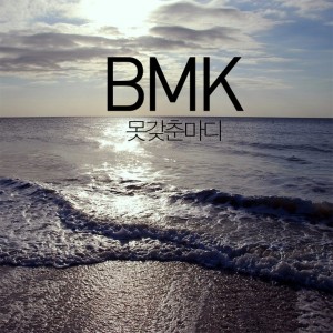 Listen to 체리 블러썸 (Inst.) song with lyrics from BMK