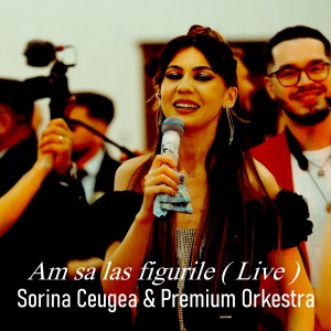 Album Am sa las figurile (Live) from Sorina Ceugea