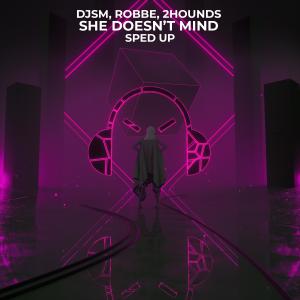 Album She Doesn't Mind - Sped Up (feat. DJSM) from Robbe