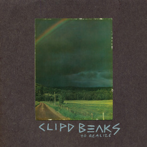 ดาวน์โหลดและฟังเพลง On One พร้อมเนื้อเพลงจาก Clipd Beaks