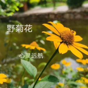 收聽心靈遠航的格桑花 (完整版)歌詞歌曲