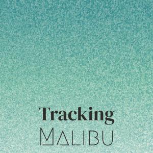 Listen to Pirouetting Barmy song with lyrics from Arell Peny