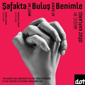 ดาวน์โหลดและฟังเพลง Connect พร้อมเนื้อเพลงจาก Oguz Kaplangi