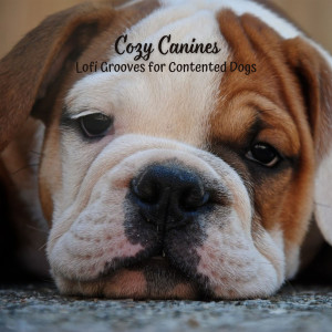 Album Cozy Canines: Lofi Grooves for Contented Dogs from Sounds Dogs Love
