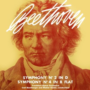 Dengarkan lagu Symphony No. 2 in D Major, Op. 36: I. Adagio molto nyanyian Don Lang dengan lirik